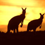 Cheap flights from Europe to Australia from £451/€610!
