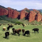 Cheap return flights from London to Kyrgyzstan from £198!