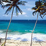 Puerto Rico from Italy €350 or direct flight from Madrid €417!