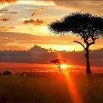 Cheap return flights from Europe to Windhoek, Namibia from €417!