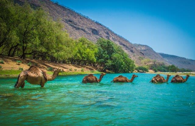 Cheap flights from Amsterdam to Muscat, Oman from €166 return! 