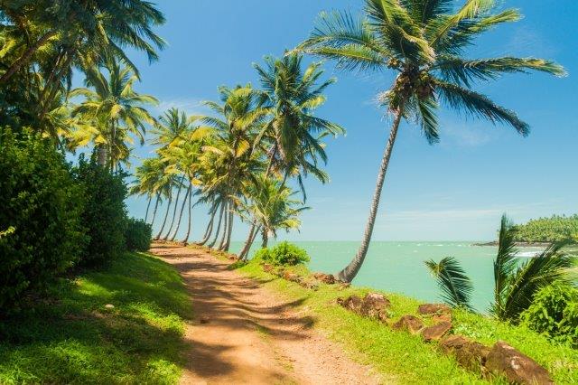 Return flights from Amsterdam to French Guiana for €538...