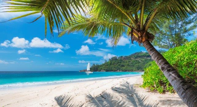 Last-minute flights from Amsterdam to Montego Bay, Jamaica for €499! (+€15 booking fee)