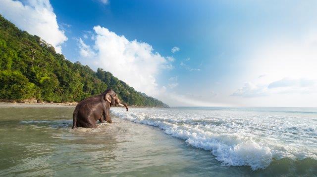 Full-service flights to Andaman and Nicobar Islands from London or Paris from £566 or €649!